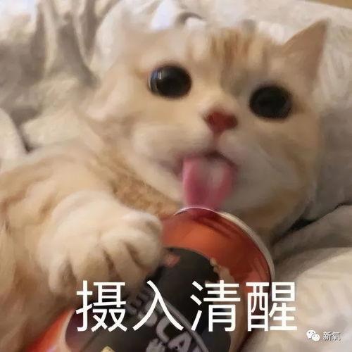 娱乐吃瓜酱不开心